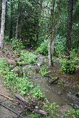 Crinitzer Wasser 09