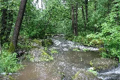 Crinitzer Wasser 10