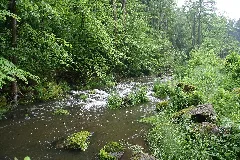Crinitzer Wasser 11