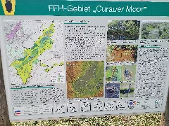 Curauer Moor 043