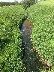 Curauer Moor041