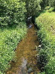 Curauer Moor042