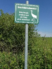 Curauer Moor049