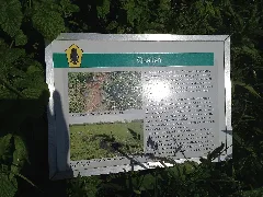 Curauer Moor050