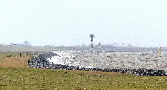 Cuxhaven Altenbrucher Bogen 2007 By Raboe 005