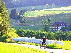 Cyclist Panoramio (2)