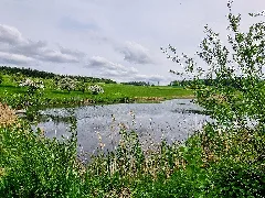 D Bw Fn Überlingen Inge Sielmann Weiher 001