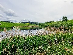 D Bw Fn Überlingen Inge Sielmann Weiher 003