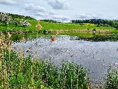 D Bw Fn Überlingen Inge Sielmann Weiher 005