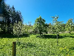 D Bw Kn Hohenfels Burgenweg 13 Beim Hof Knollenkratten