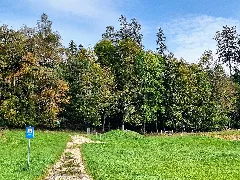 D Bw Kn Mühlingen Zoznegg Wsg Qu Weiherholz, Brunnenbachtobel Und Tb Geigeshöfe