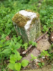 D Bw Tut Neuhausen Ob Eck Grenzstein B001
