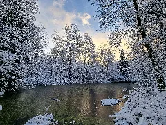D Bw Tut Neuhausen Ob Eck Naturdenkmal 'Hochmoor Wilde Im Schindelwald' 025