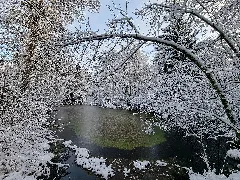 D Bw Tut Neuhausen Ob Eck Naturdenkmal 'Hochmoor Wilde Im Schindelwald' 027