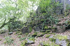 Dachsbau Taunus 2021 08 16 01