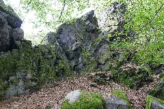 Dachsbau Taunus 2021 08 16 02