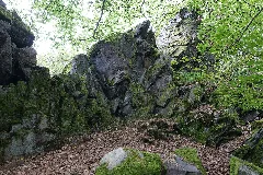 Dachsbau Taunus 2021 08 16 03