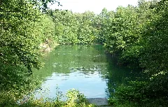 Dachsberger See