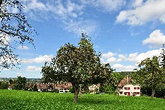 Dachsleren 2011 09 14 14 30 06