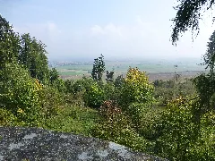Dalwigker Warte 04 Aussicht