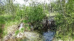 Dam Made Of Sticks Near Augsburg