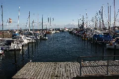 Damp 2009