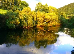 Danube Panoramio (19)