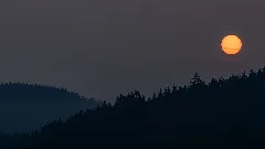 Dark Sunrise (45023948035)