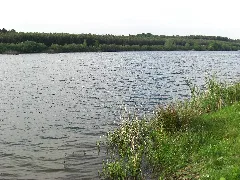 Das Sportgebiet Der Angler Panoramio