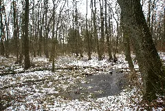 Deepenreiengraben