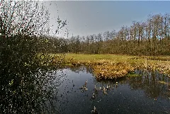 Deepenwischengruepp Diekchen