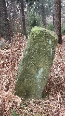 Deister Grenzstein Hwa 1728 13 2014