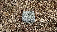 Deister Trig Punkt Kammweg 1 2014