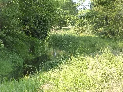 Delvenau Bei Der Dückerschleuse