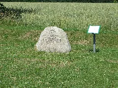 Denkmalstein Von Kolonie Handewitt