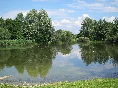 Denninger Weiher Muenchen 01