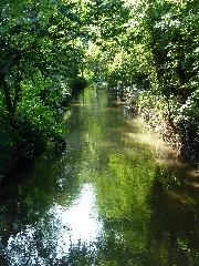Der Angerbach Am Angermunder See Panoramio