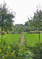 Der Garten Des Kloster Isenhagen (Hankensbüttel) Img 9175