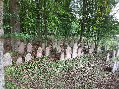 Der Jüdische Friedhof In Wenkheim 23