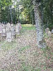 Der Jüdische Friedhof In Wenkheim 24