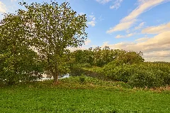 Der Kuhweidenbrack Bei Predöhlsau 5