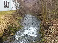 Der Pfeffer (Brenz) Vor Seiner Mündung