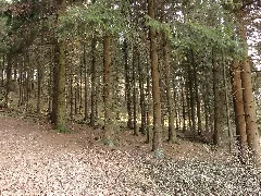 Der Weg Auf Dem Hügel 12.3.2011 Panoramio