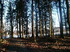 Des Thioleyres À Palézieux Gare Panoramio