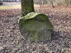 Dessau,Erinnerungseiche Schillerpark Gedenkstein 1813