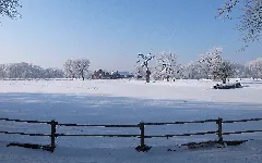 Dessau,Gestüt Am Luisium