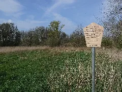 Dessau Roßlau,Mosigkau,Infotafel,Naturdenkmal Neue Teichwiese