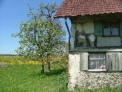 Detail Am Alten Haus Panoramio