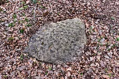 Detmeroder Opferstein