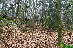 Detmold 2014 04 05 Leistruper Wald Kuhle (2)